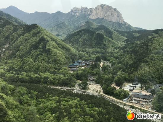 502 фото: Южная Корея. Апрель 2019