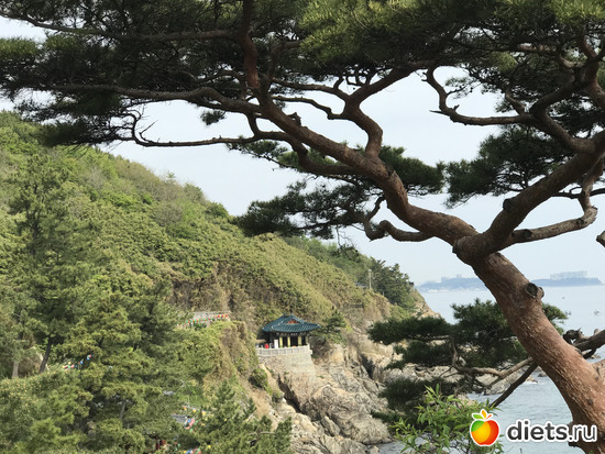 452 фото: Южная Корея. Апрель 2019