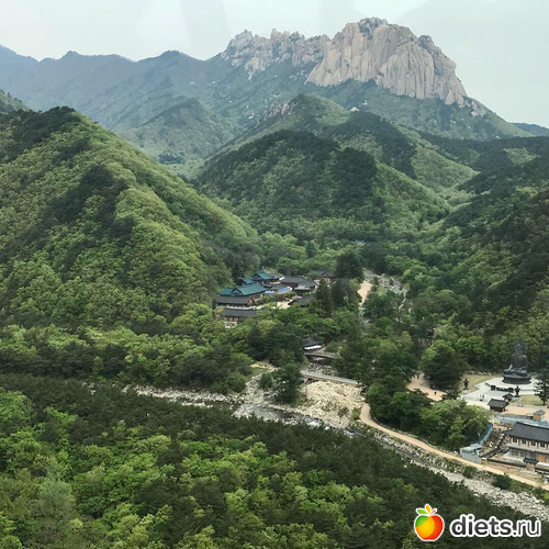 568 фото: Южная Корея. Апрель 2019