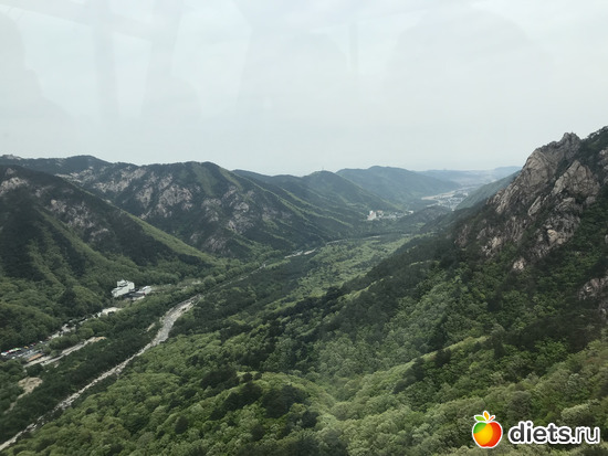 504 фото: Южная Корея. Апрель 2019