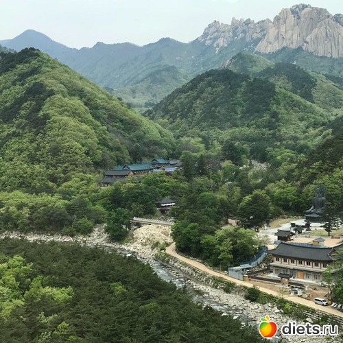 569 фото: Южная Корея. Апрель 2019