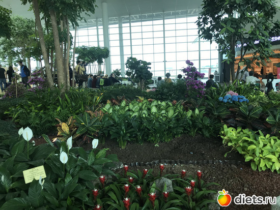 570 фото: Южная Корея. Апрель 2019