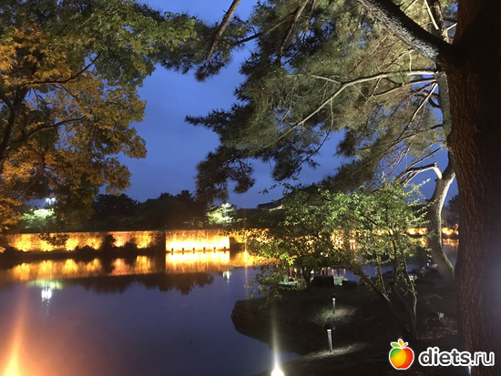 313 фото: Южная Корея. Апрель 2019