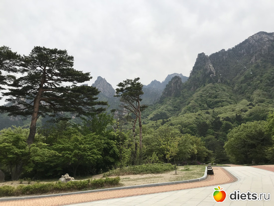 535 фото: Южная Корея. Апрель 2019