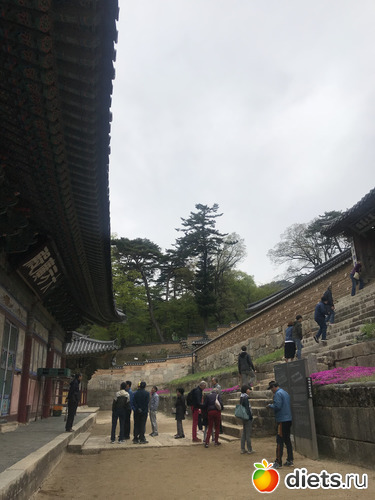 400 фото: Южная Корея. Апрель 2019