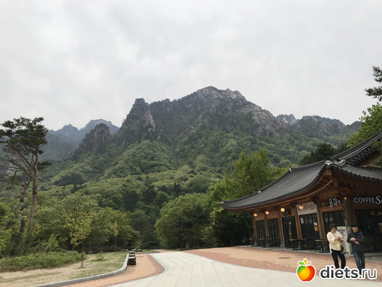 536 фото: Южная Корея. Апрель 2019