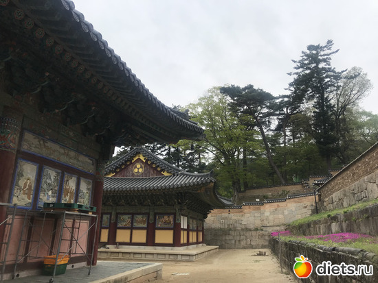 401 фото: Южная Корея. Апрель 2019