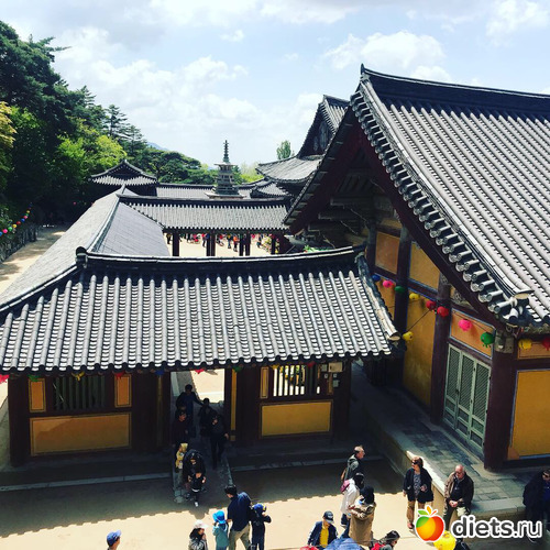 348 фото: Южная Корея. Апрель 2019