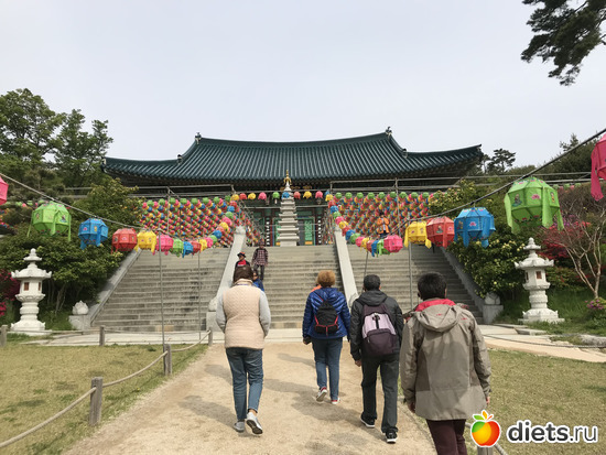 456 фото: Южная Корея. Апрель 2019