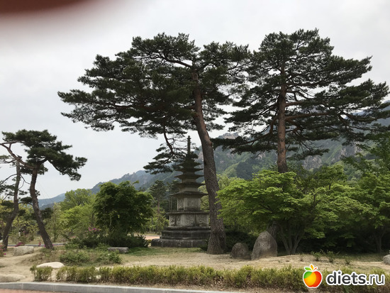 537 фото: Южная Корея. Апрель 2019