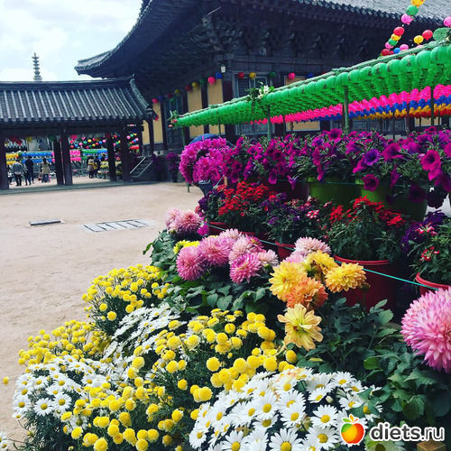 349 ����: ����� �����. ������ 2019