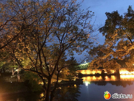 314 фото: Южная Корея. Апрель 2019