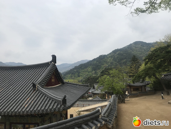 403 фото: Южная Корея. Апрель 2019