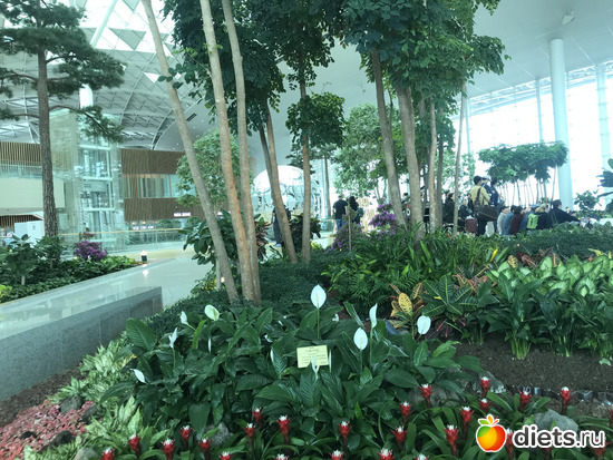 573 фото: Южная Корея. Апрель 2019