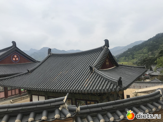 404 фото: Южная Корея. Апрель 2019