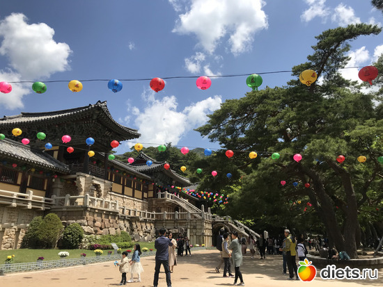 351 фото: Южная Корея. Апрель 2019