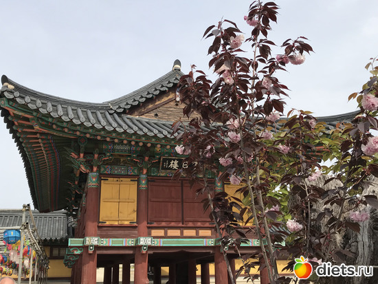 481 фото: Южная Корея. Апрель 2019