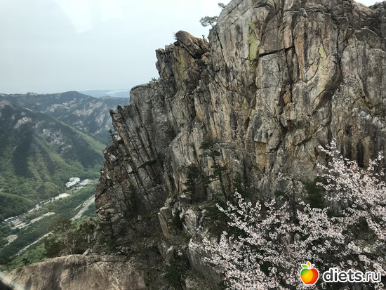 510 фото: Южная Корея. Апрель 2019