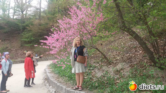 316 ����: ����� �����. ������ 2019