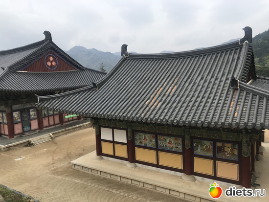 405 фото: Южная Корея. Апрель 2019