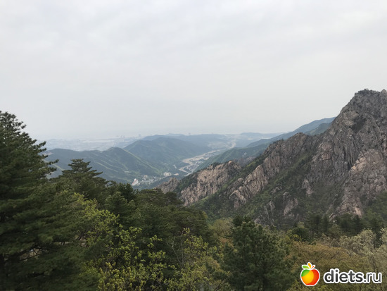 511 фото: Южная Корея. Апрель 2019