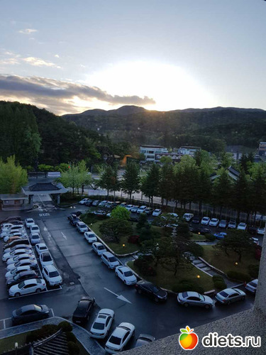 318 фото: Южная Корея. Апрель 2019