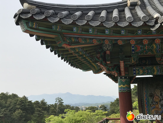 483 фото: Южная Корея. Апрель 2019