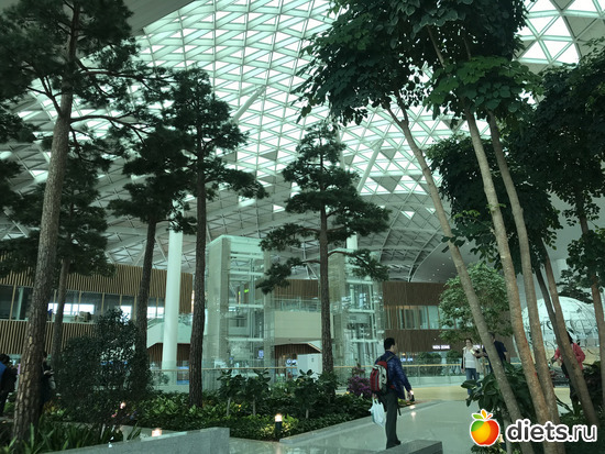 575 фото: Южная Корея. Апрель 2019