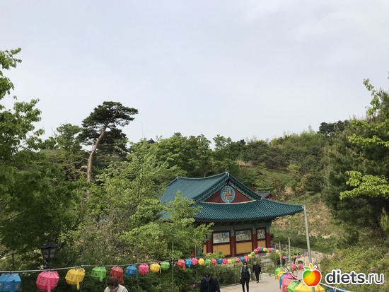 461 фото: Южная Корея. Апрель 2019