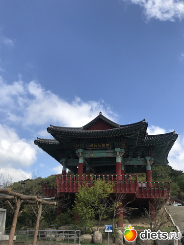 319 фото: Южная Корея. Апрель 2019