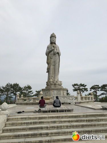 462 фото: Южная Корея. Апрель 2019