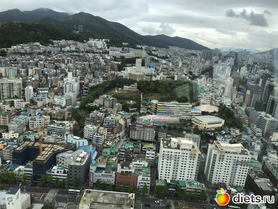 289 фото: Южная Корея. Апрель 2019