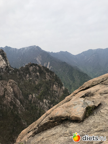 516 фото: Южная Корея. Апрель 2019