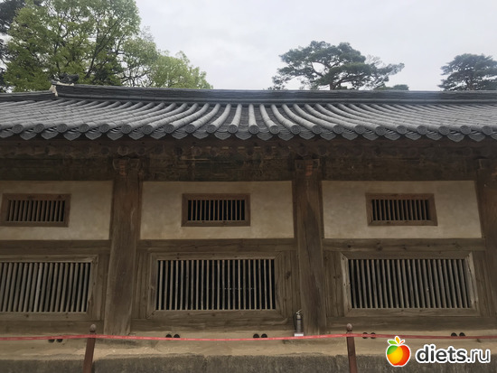 409 фото: Южная Корея. Апрель 2019