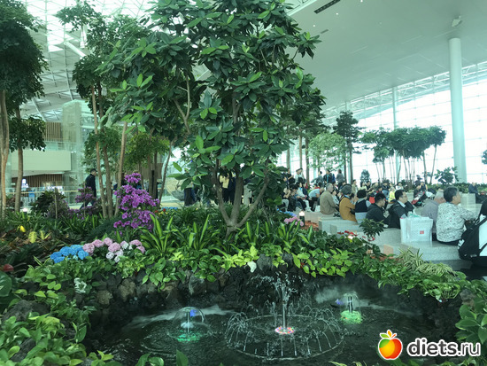 579 фото: Южная Корея. Апрель 2019