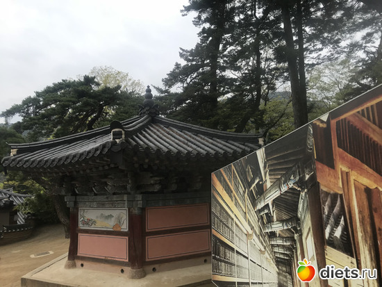 410 фото: Южная Корея. Апрель 2019