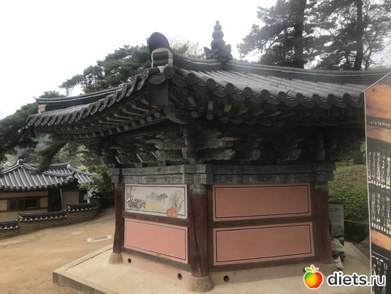 411 фото: Южная Корея. Апрель 2019