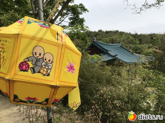 487 фото: Южная Корея. Апрель 2019