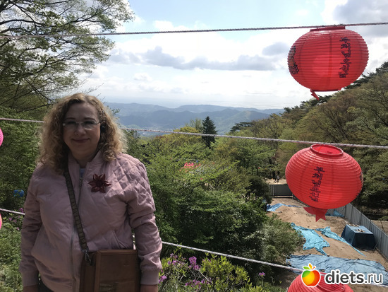 322 фото: Южная Корея. Апрель 2019