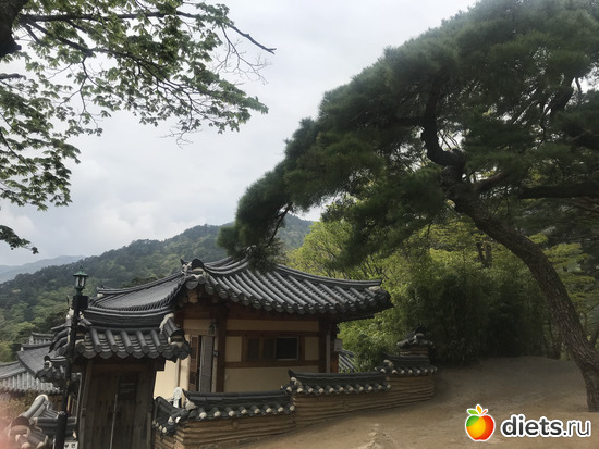 413 ����: ����� �����. ������ 2019