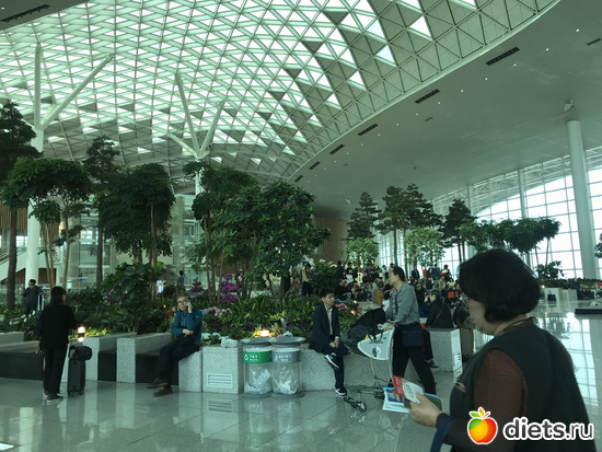 580 ����: ����� �����. ������ 2019