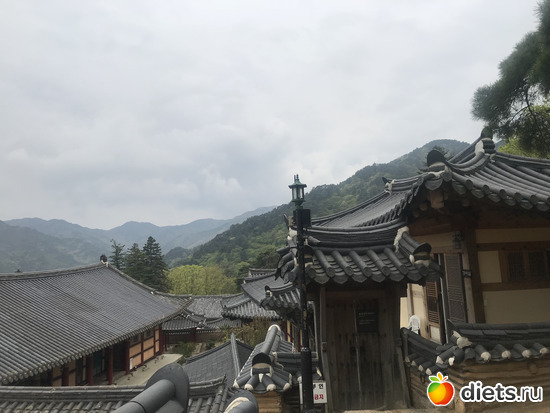 414 фото: Южная Корея. Апрель 2019