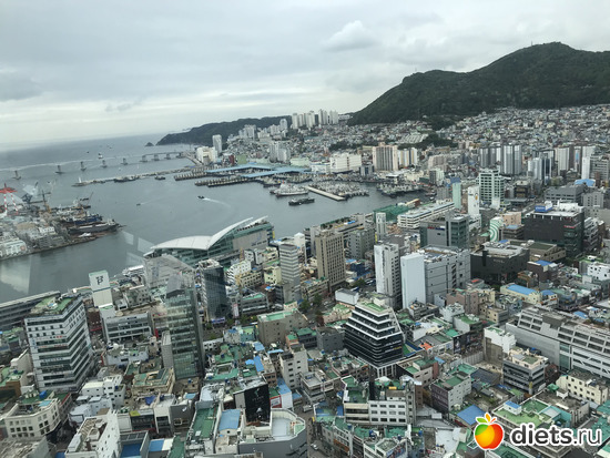 290 фото: Южная Корея. Апрель 2019