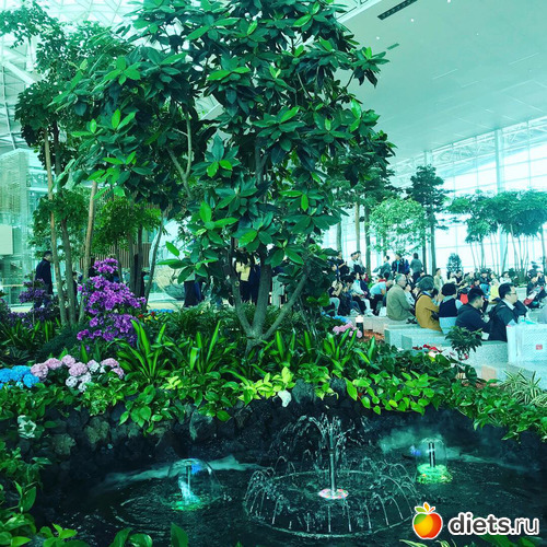 584 фото: Южная Корея. Апрель 2019