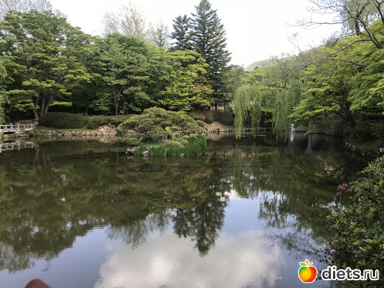 323 фото: Южная Корея. Апрель 2019