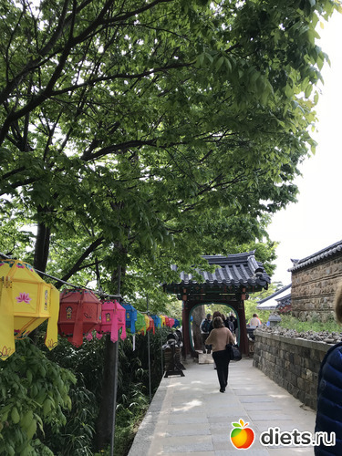 468 фото: Южная Корея. Апрель 2019