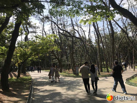 376 фото: Южная Корея. Апрель 2019