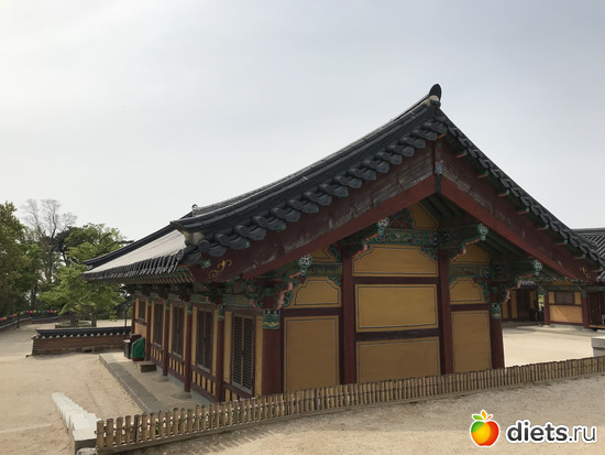 469 фото: Южная Корея. Апрель 2019