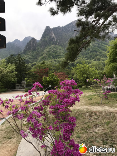 543 ����: ����� �����. ������ 2019