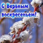 14 день карантина. С вербным воскресеньем!